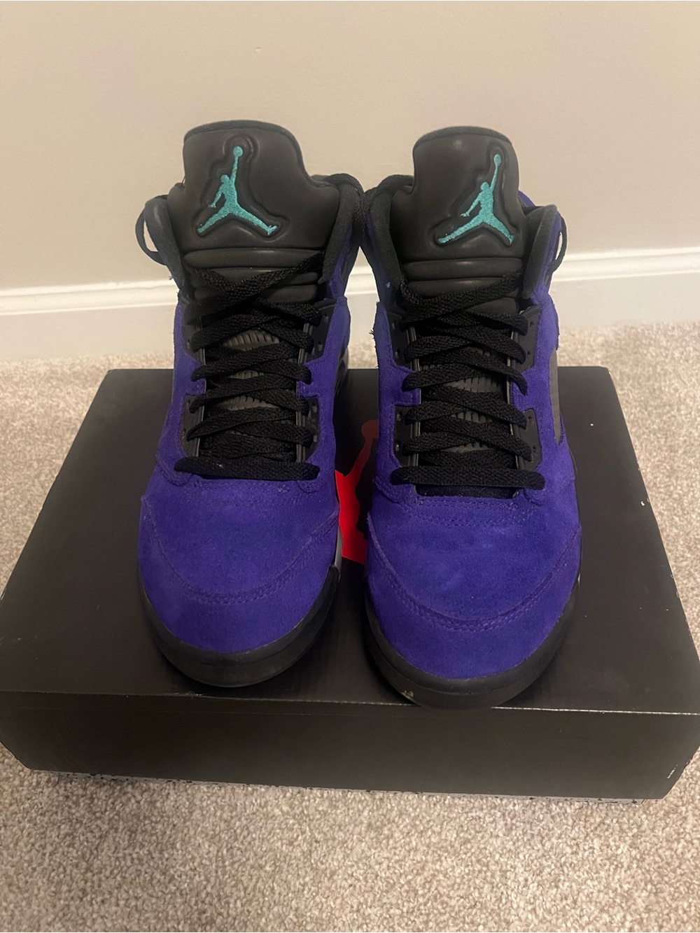 Jordan 5 Retro Alternate Grape (Size:8 Men) Pre-owned